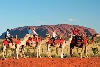 Camel ride near Uluru