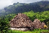 Navala Village is one of the must-see places in Fiji