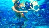 Hurghada snorkeling experience