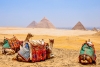 Discover the magnificent Egypt