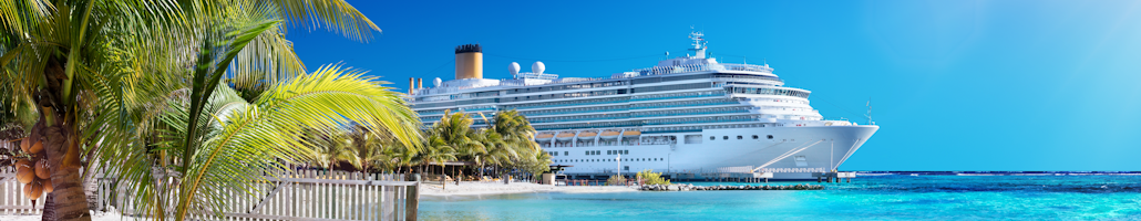 Cruise Travel Plans