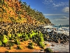 Beautiful Norfolk Island pines line the cliffs