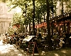 Paris cafes provide an interesting insight into the French way of life