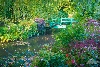 Visit Monet's garden in Giverny