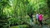 Exclusive Port Douglas rainforest wilderness experience