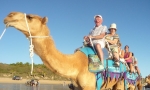 Embark on a camel ride of Cable Beach
