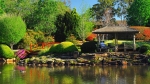 Spend some time in Toowoomba's tranquil Japanese gardens