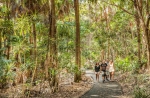 Mullumbimby is home to countless fantastic walking trails