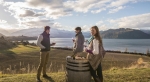 Sample the best wines in the Otago region