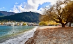 Explore the streets of Queenstown