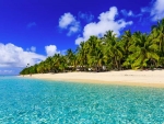 Suva has some gorgeous beaches to relax on