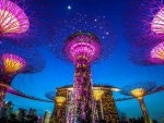 The spectacular Gardens by the Bay awaits