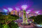 Visit the spectacular Gardens by the Bay