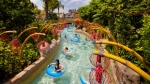 Experience a world of fun at Adventure Cove