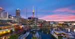 Experience New Zealand's most cosmopolitan city