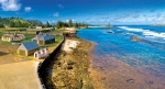 Gorgeous Norfolk Island awaits