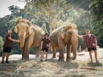 Elephant Jungle Sanctuary in Chiang Mai