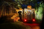 Singapore Zoo's Night Safari