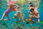 Snorkel through colourful coral reefs

