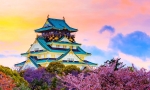 Witness the beauty of Osaka Castle