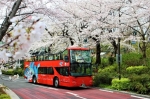 See the highlights of Tokyo on a top decked bus