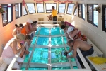 Glass Bottom Boat at Muri Lagoon