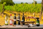 Sip and savor on a Tuscany Wine Tour through Chianti