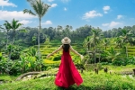 Iconic Tegallalang Rice Terraces