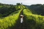 Peaceful walk along Campuhan Ridge