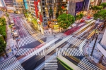 Busy streets of Shibuya