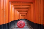 Torii gates of Fushimi Inari Shrine