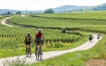Cycle past chateaux and vineyards in Amboise
