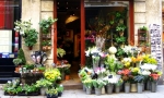The streets of Paris always reveal something special