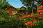 Your lodge in the Blue Mountains