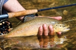 New Zealand is world famous for fly fishing